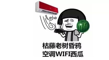 告別空調西瓜WIFI周末，解鎖健康生活新方式