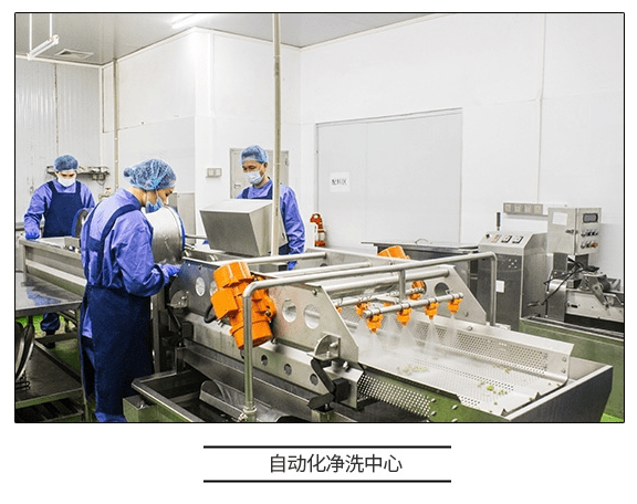 直擊工廠溯源 咚吃如何以科技賦能，保障食品安全新高度